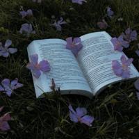 -advise_books-